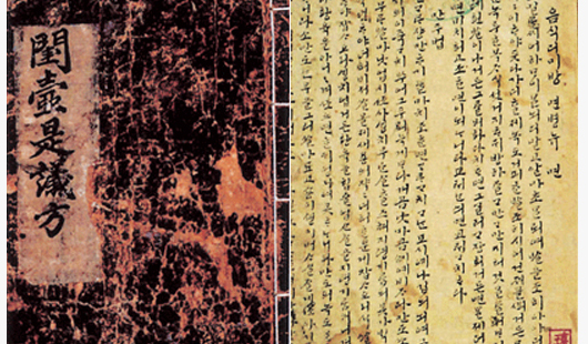 사업영역
