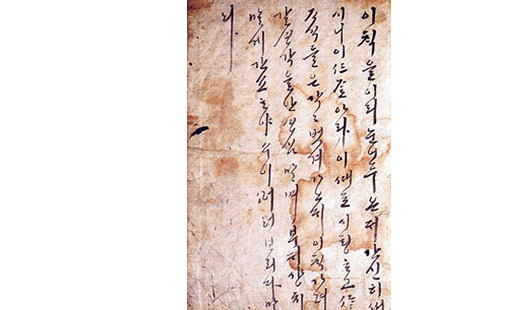 사업영역