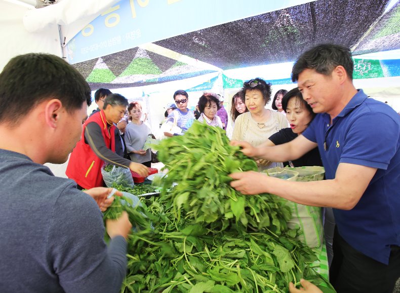 영양-산나물축제 (26).jpg