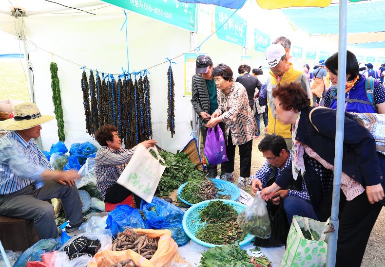 영양-산나물축제 (8).jpg